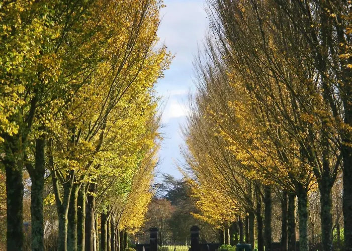 The Dunraven, Otel 4*